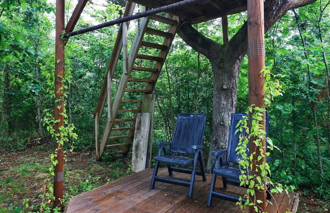 6 Person Holiday Home in Hals-by Traum - Photo 24