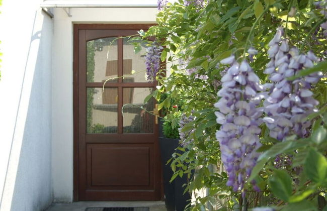 "weinberg Uitzicht" in het Felix Huis - Foto 33