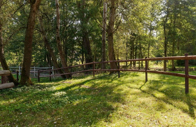 Retreat With Terrace, Eschede - Foto 19