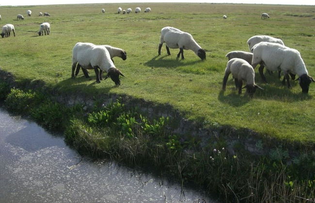 Charming Apartment in Norden - Foto 12