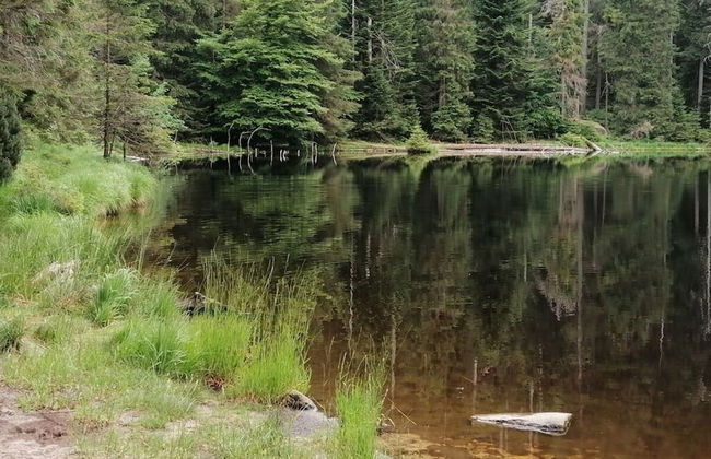 Seegerhaus Comfortable Holiday Residence - Foto 30