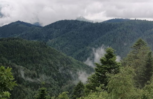 Seegerhaus Comfortable Holiday Residence - Foto 11