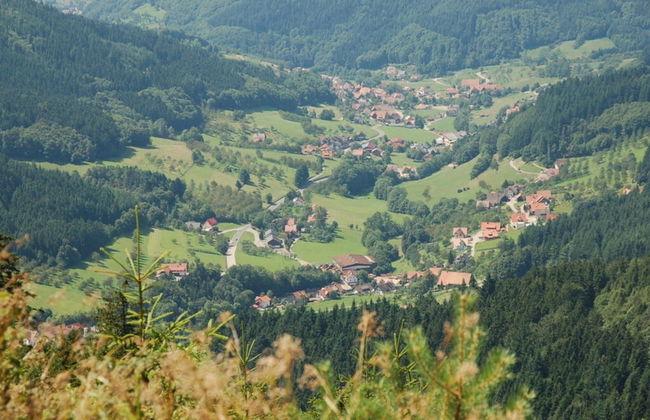 Seegerhaus Comfortable Holiday Residence - Foto 42