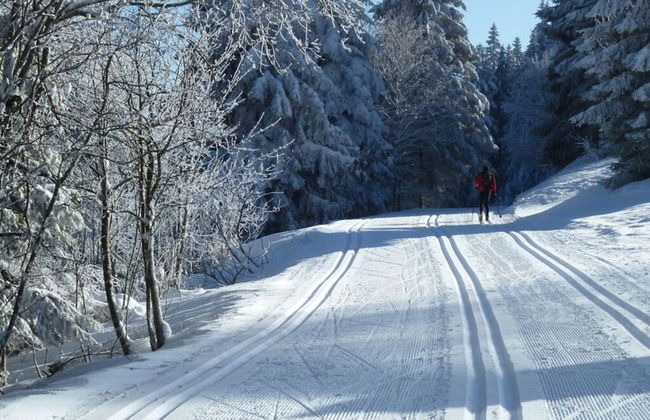 Seegerhaus Comfortable Holiday Residence - Foto 19