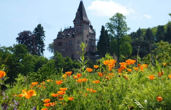 Seegerhaus Comfortable Holiday Residence - Foto 41