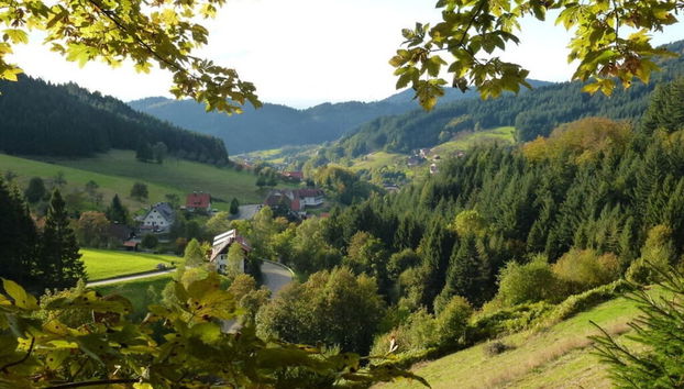 Seegerhaus Comfortable Holiday Residence - Photo 3