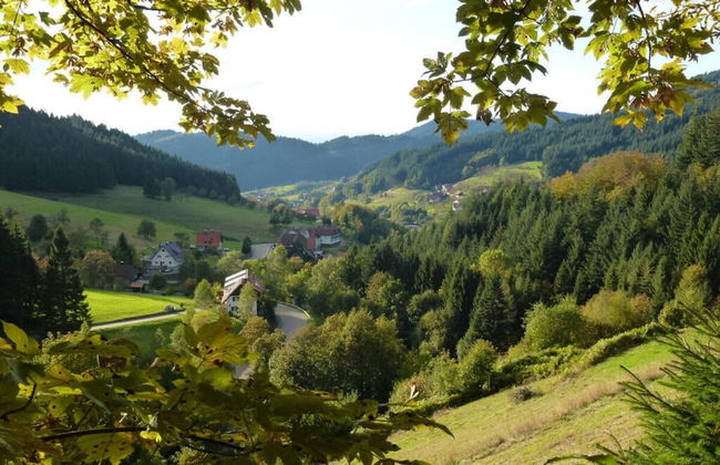 Seegerhaus Comfortable Holiday Residence - Foto 3