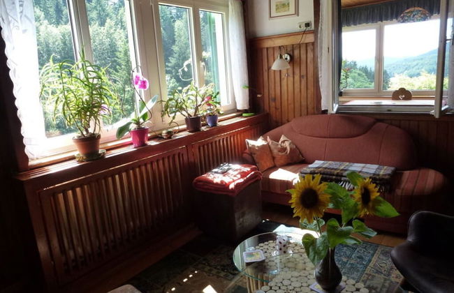 Seegerhaus Comfortable Holiday Residence - Foto 10