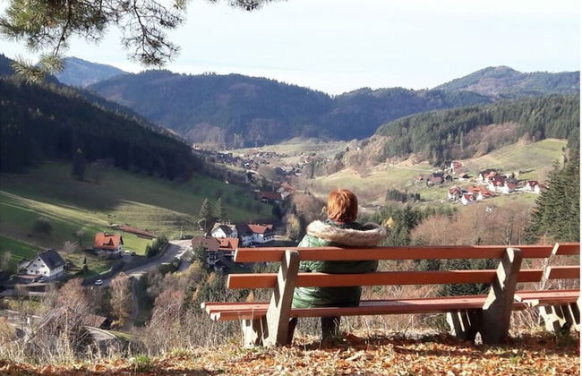 Seegerhaus Comfortable Holiday Residence - Foto 32