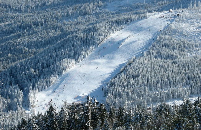 Seegerhaus Comfortable Holiday Residence - Foto 18