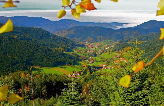 Seegerhaus Comfortable Holiday Residence - Foto 31