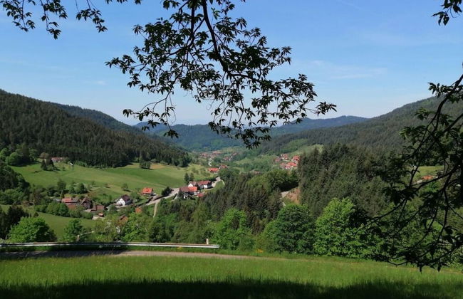 Seegerhaus Comfortable Holiday Residence - Foto 17