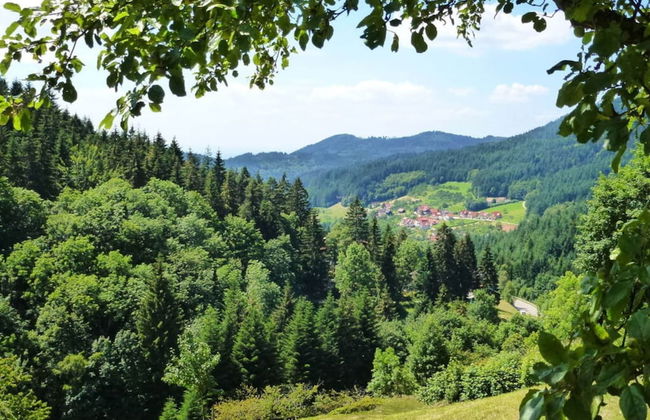 Seegerhaus Comfortable Holiday Residence - Foto 16