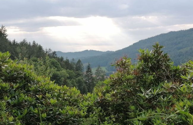 Seegerhaus Comfortable Holiday Residence - Foto 12