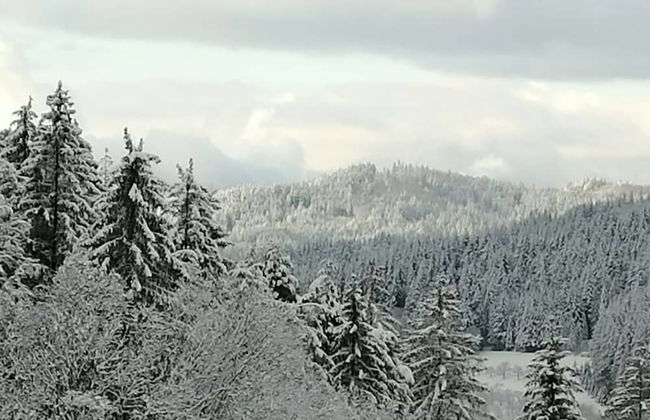 Seegerhaus Comfortable Holiday Residence - Foto 25