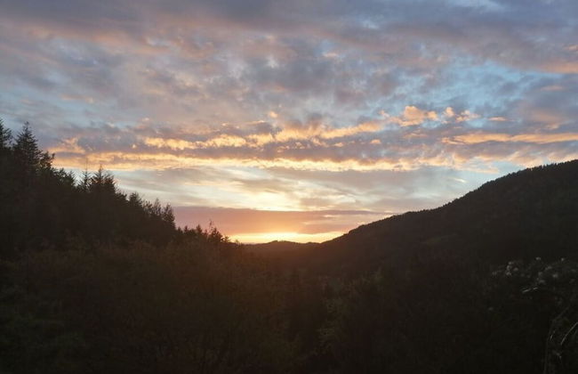 Seegerhaus Comfortable Holiday Residence - Foto 7