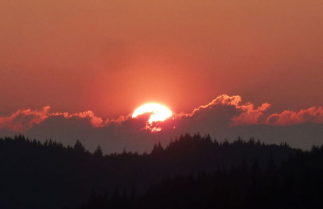 Seegerhaus Comfortable Holiday Residence - Foto 23