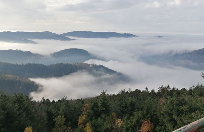 Seegerhaus Comfortable Holiday Residence - Foto 21