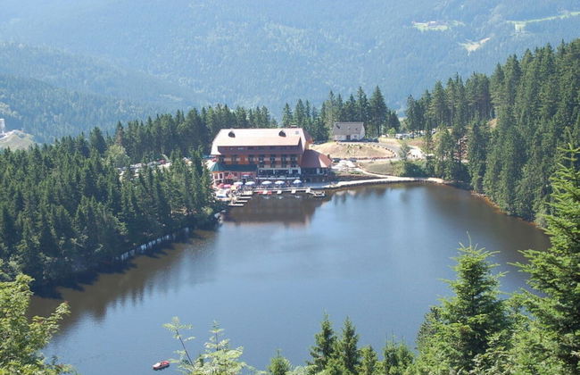 Seegerhaus Comfortable Holiday Residence - Foto 26