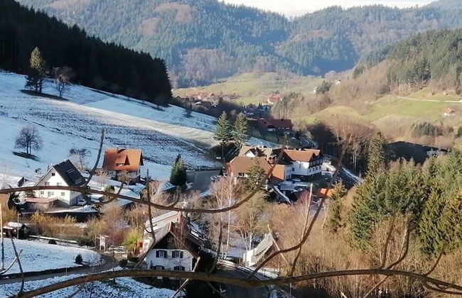 Seegerhaus Comfortable Holiday Residence - Foto 8