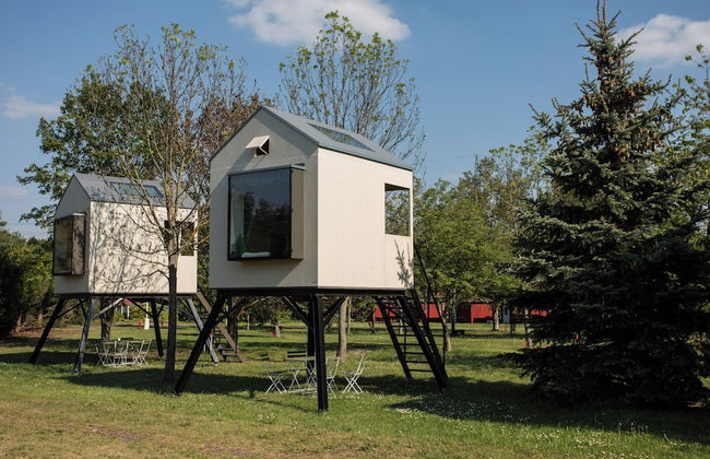 Camp Dzban - Foto 7