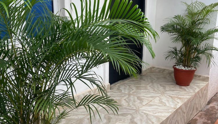 Photo 1 - Claramojisola - Eunice Apartments