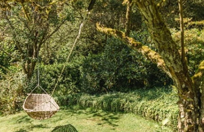 Felsberg Modern Retreat - Foto 23