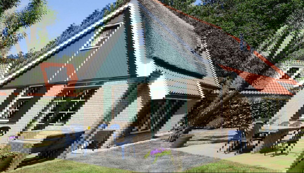 Imagem principal