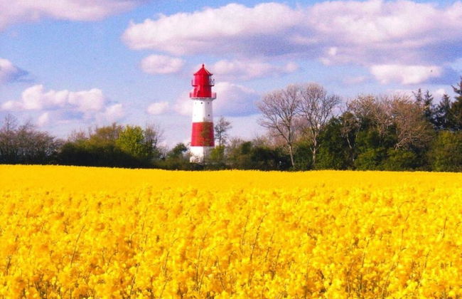 Holiday Home Zum Nagel - Foto 20