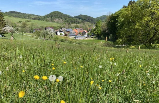Holiday Home in Willingen-neerdar - Foto 31
