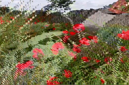 Photo 42 - Bungalow With a Terrace at Bedafse Bergen