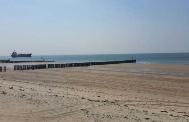 Apartment in Zoutelande Near the Beach - Foto 36