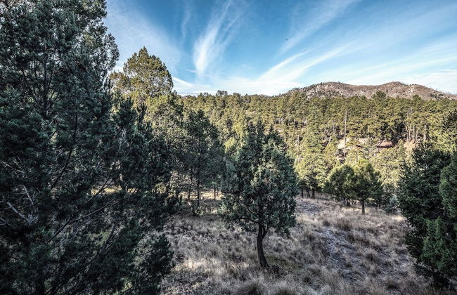 Wine N Pines - Foto 17