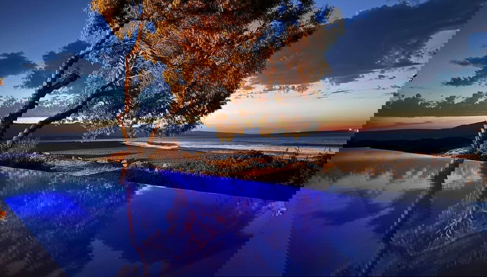 Immagine principale