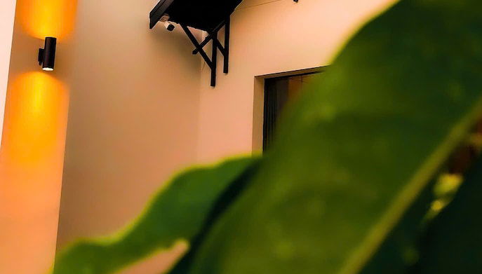 Imagem principal