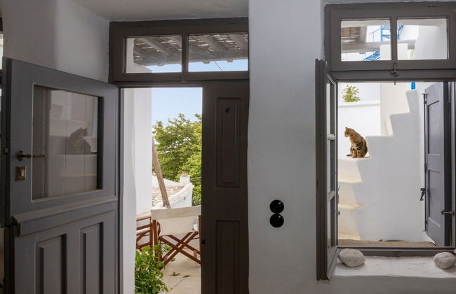 Village Aura in Tinos - Photo 13