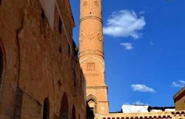 Narvella House - Photo 25