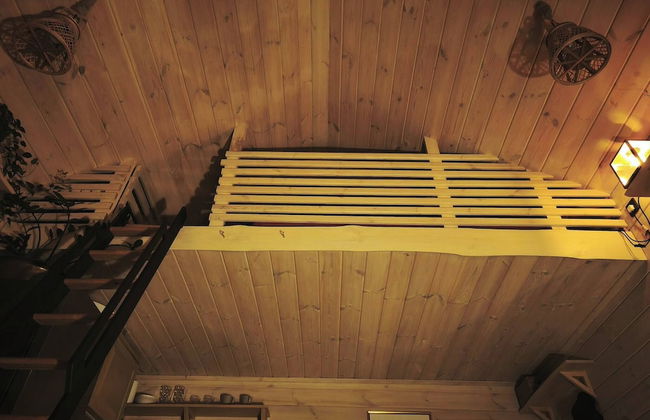 Metai Miške&a Year in the Forest - Foto 12
