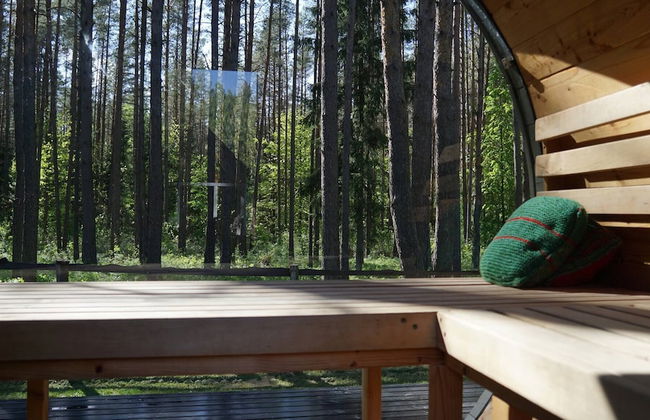 Metai Miške&a Year in the Forest - Foto 37