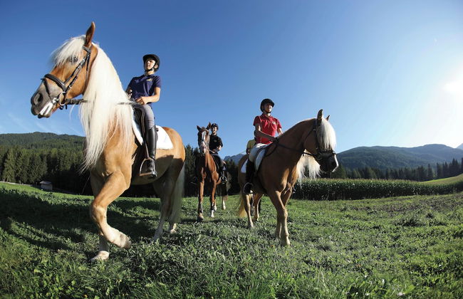 Mountain Residence CLARA - Photo 29