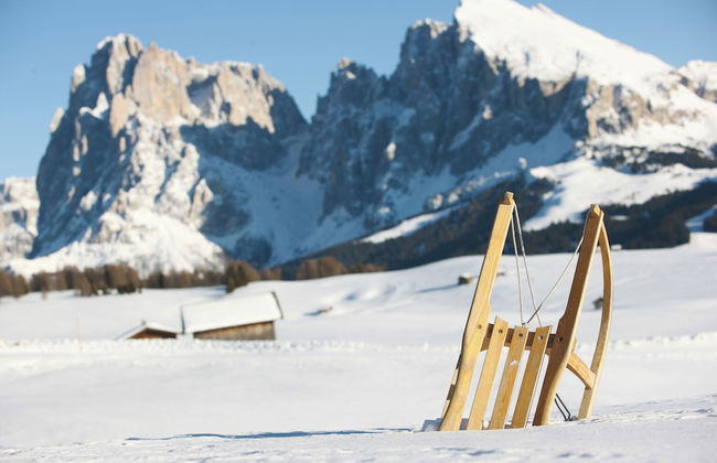 Mountain Residence CLARA - Photo 48