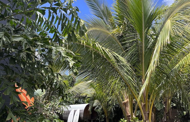 Akule Clubhouse: Ono Two Bed Beach Oasis W/mountain Views 2 Bedroom Condo by RedAwning - Photo 19