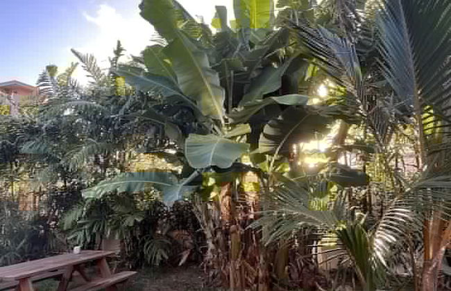 Akule Clubhouse: Ono Two Bed Beach Oasis W/mountain Views 2 Bedroom Condo by RedAwning - Photo 16