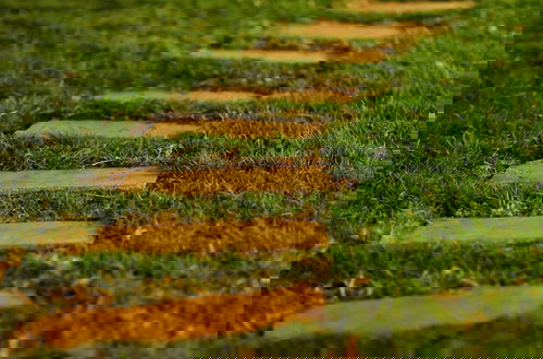 Foto 20 - Songs of the Nilgiris