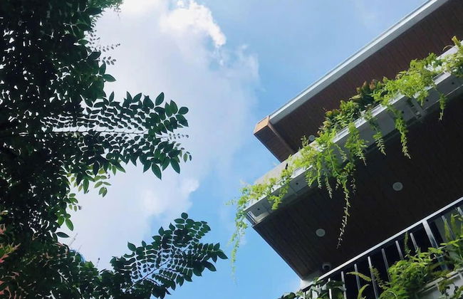The Eudora Homestay - Foto 66