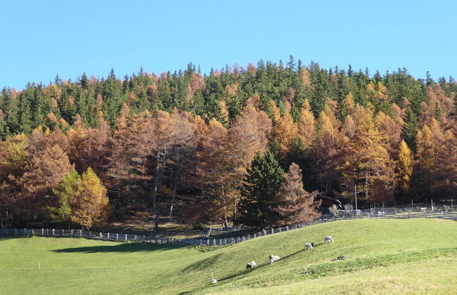 Family Baita Gran Chalet Trentino - Foto 47