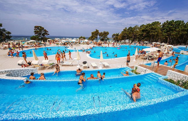 Apartments in Zaton With Pool - Foto 10