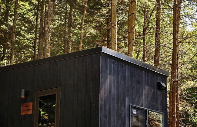 Postcard Cabins Western Catskills, Outdoor Collection by Marriott Bonvoy - Foto 34