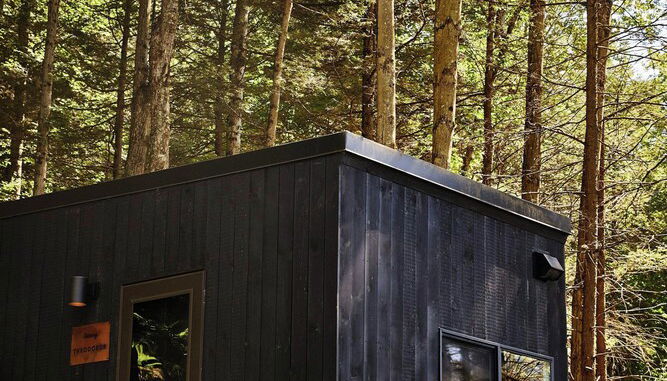 Foto 1 - Postcard Cabins Piney Woods