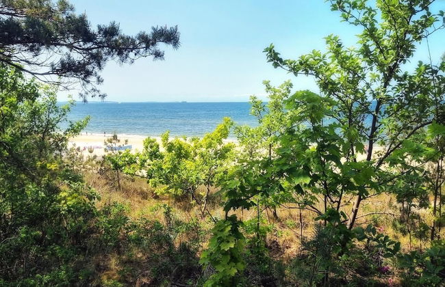 Apartment in Mrzezyno by Blue Flag Beach - Foto 27